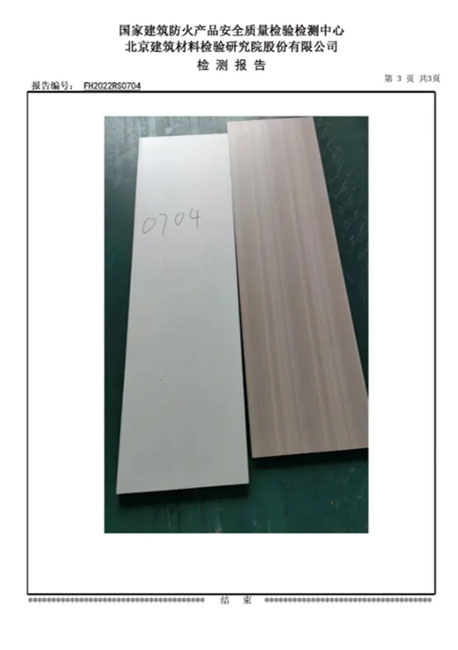 Plate inspection report